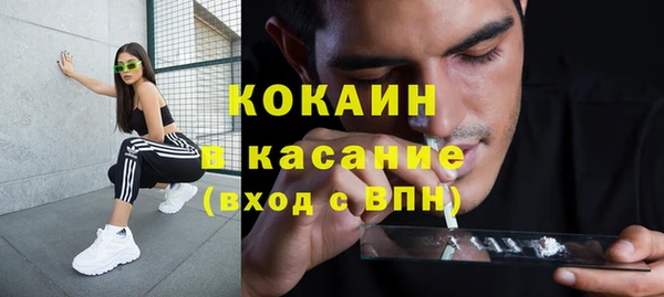 дмт Алексин