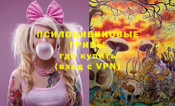 индика Алексеевка