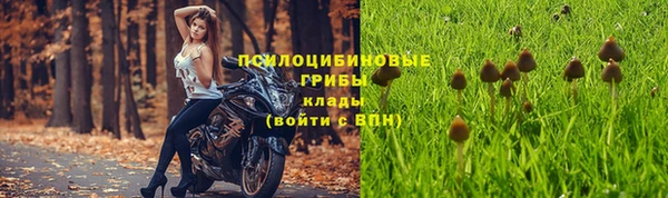 стаф Пролетарск
