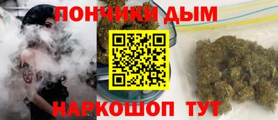 бошки Можга