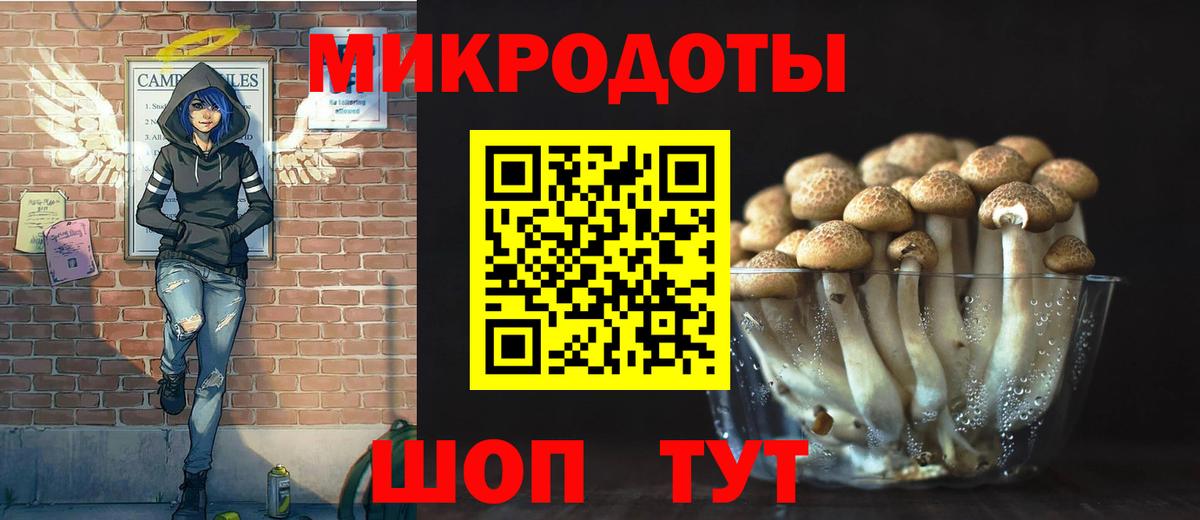 Псилоцибиновые грибы прущие грибы  Вход с VPN  Сертолово 