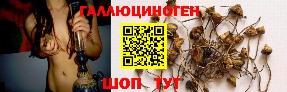 Псилоцибиновые грибы GOLDEN TEACHER Сертолово